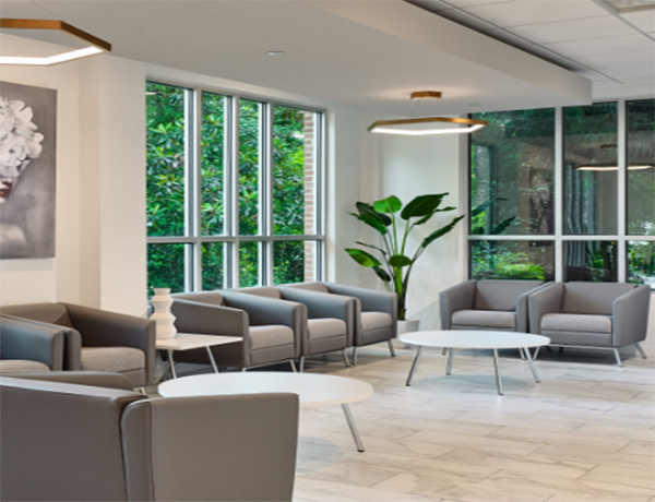 waiting room with gray furniture, floor-length windows and a large accent indoor plant
