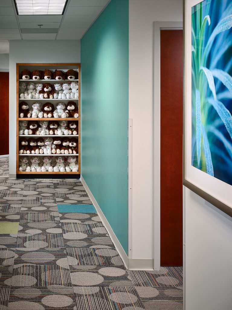 a pediatric office hallway with a teal accent wall and shelf of stuffed animals
